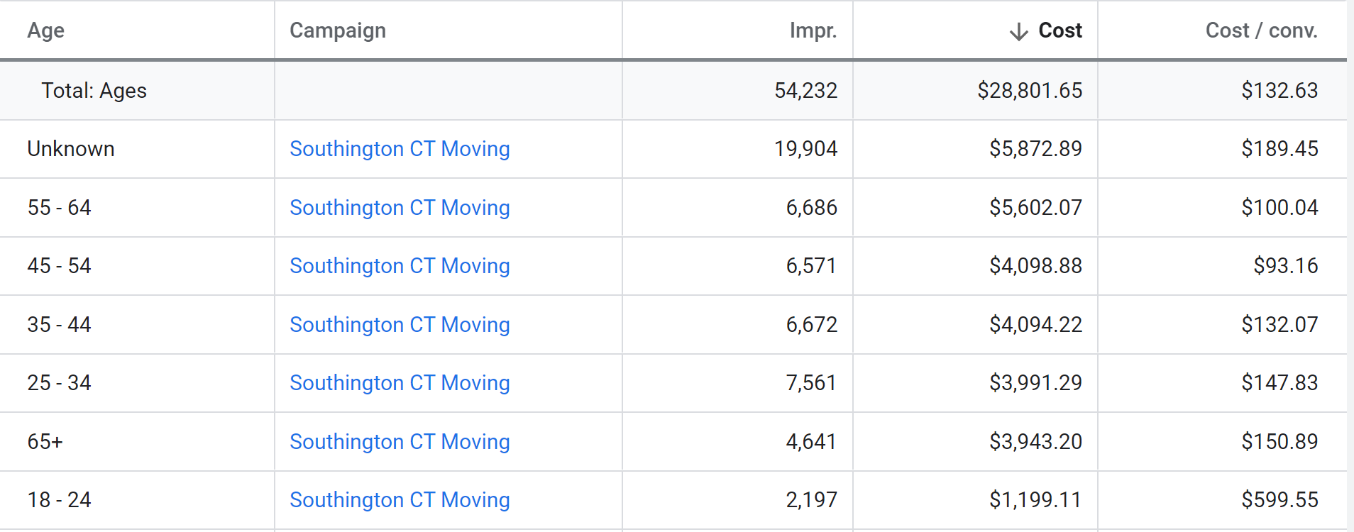 Google Ads age report